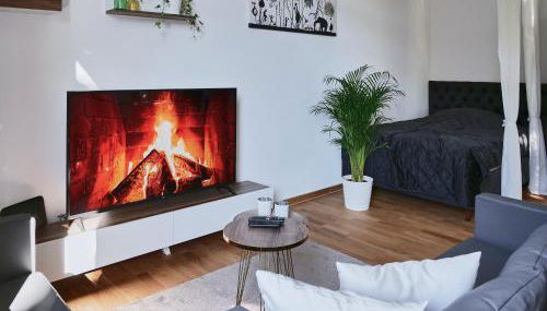 Apartment SCHILLER I - Erfurt Zentrum - Foto 5