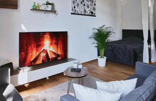 Apartment SCHILLER I - Erfurt Zentrum - Foto 5