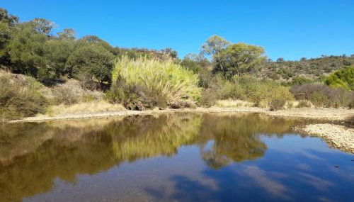 Blue&YellowHouse - Foto 4