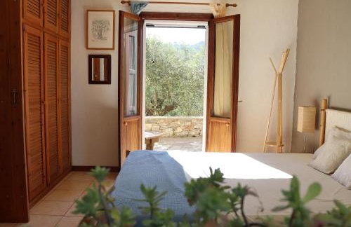 Olive Yard House - Foto 12