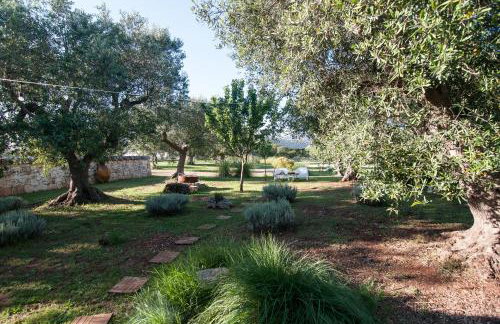 Il Trullo di Ben - with Private Pool in Locorotondo - Perfect for Couples & Quiet Escapes - Dogfriendly - Foto 31