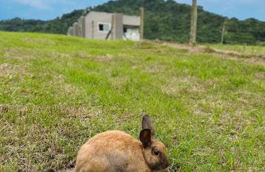 Hospedagem Zilz - Foto 7