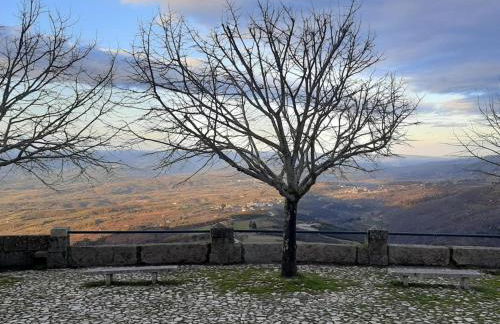 Casa da Tia Lurdes - Foto 21