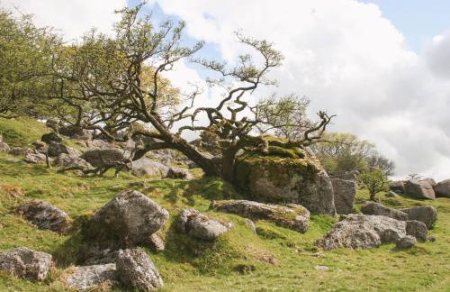 Butterbrook Coach House - Foto 20