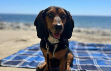 Thea Cottage - Photo 14