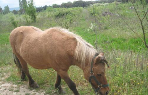Le Pas des Lanciers - Foto 36