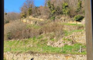 Beaujolais - Maison pierres dorées - Foto 33