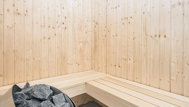 5 Star Holiday Home in Glesborg - Foto 5, Sauna