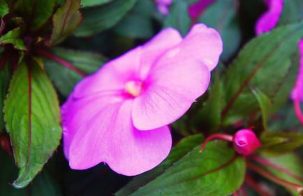 Casa da Igreja by Gerês Casas - Foto 24