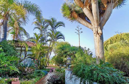 Nanou House - Foto 11