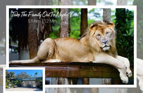 Lux Fam Private Resort Pool Spa, 2 Private Pickleball Courts, Basketball, Ping Pong Table, Mini Golf, Close To Beach & Dining Home Sleeps 8 - Photo 43