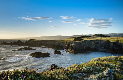 Wild Meadow - Photo 26