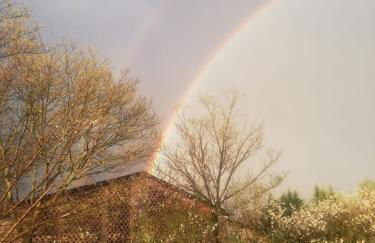 Agriturismo con Cucina tipica Nuova Scardua - Foto 67