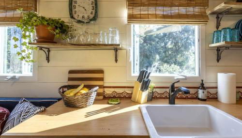 Vintage Tiny House with Spa-Inspired Bathroom in Warner Springs, California - Foto 4