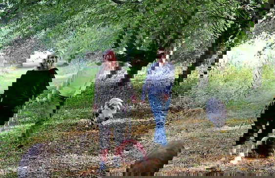 Starry Meadow - Foto 17