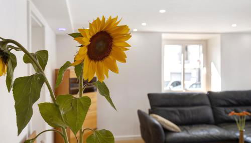 am Hochrhein Desko - Foto 3