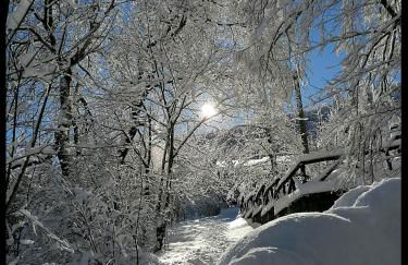 Appartamento Il Bosco Incantato - Foto 31