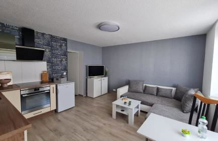 Ferienwohnung Blumenberg Hahn Grabenstraße - Foto 1