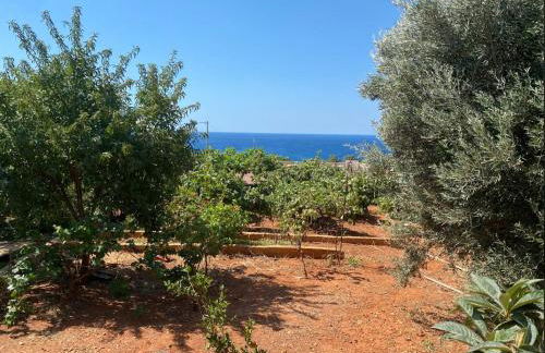 Vine Veranda - Photo 12