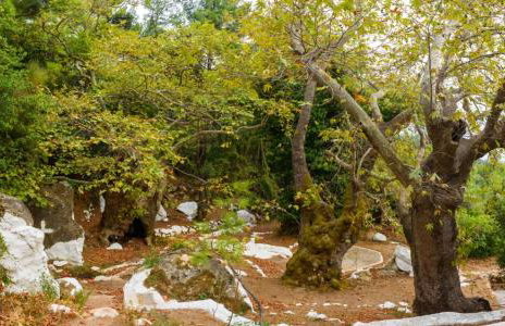 Giannakos Apartments - Foto 36