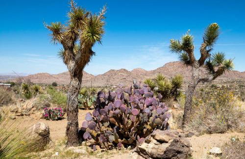 Casa Rocosa I Midcentury Home on 5 Private Acres Near Park - Foto 60