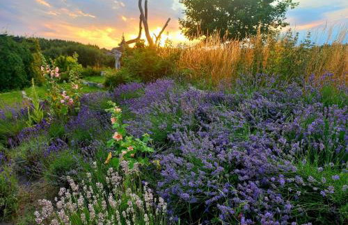 Dom Malarki - Foto 35