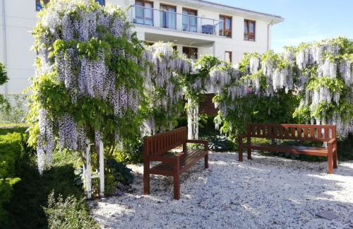 Apartament Jaśminowy Shiraz Gdynia - Foto 4