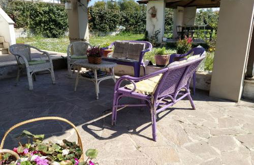 Il Ciliegio Holiday Apartment With Garden - Foto 51