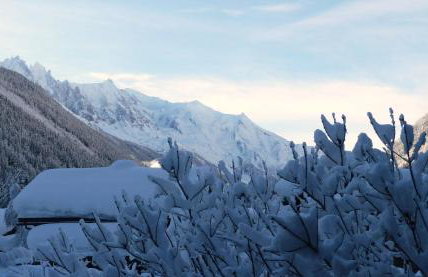 Appartement Capucine - Foto 14