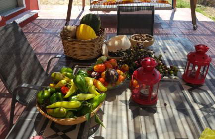 Casa Rossa - Foto 48