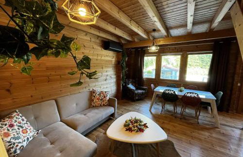 Cottage relaxant au bord de l'eau - Foto 15
