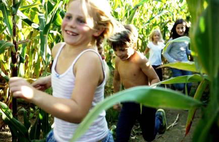 Gut Hügle Erlebnishof & Spa - Foto 16