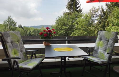 Komfortable Wohnungen und Studio in Sankt Englmar - Foto 10