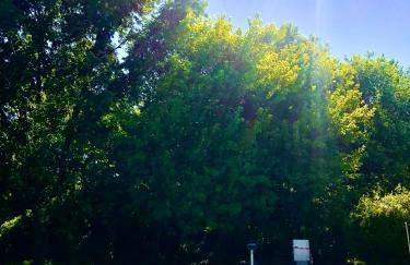 Dormi nella SPA privata con letto ad acqua, sauna, doccia emozionale e kneipp - Foto 56