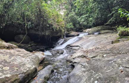 Natureza Loft - Foto 30