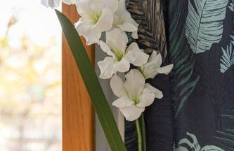 Escale de l'Yvette - 50m2 Cosy, Balcony & Parking - Foto 18