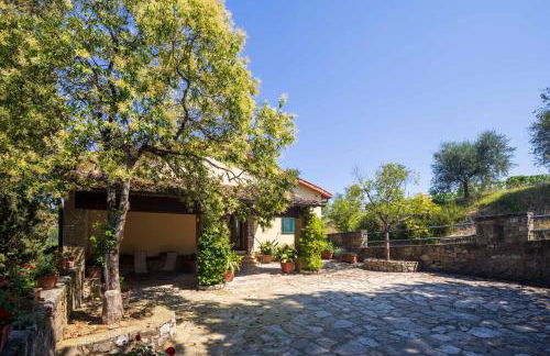 Foresteria Castello di Verrazzano - Foto 3