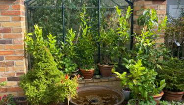 Ferienwohnung im Dreiseitenhof - Foto 3, Garden view