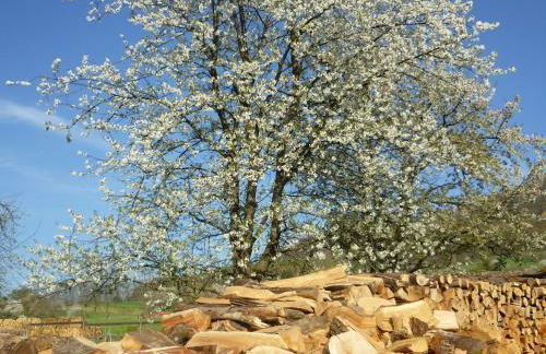 Ferienwohnungen Hubertus - Foto 16