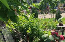 AGROTURYSTYKA Dom Mili - Foto 5