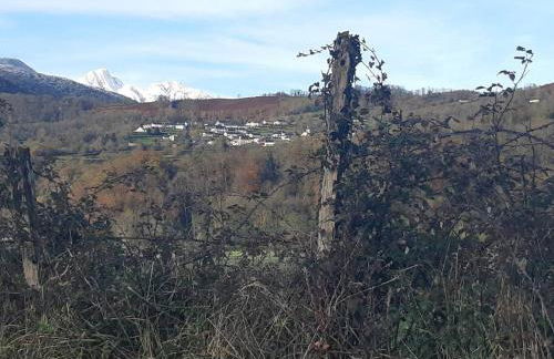 Bielle, grand appartement 38m2, piscine, 4 pers, couchages 160x200 - Foto 11