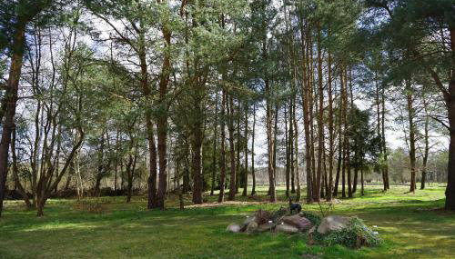 Lavendula - Apartment in Villa Ambrosian - Foto 4