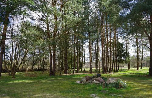 Magnolia - Apartment in Villa Ambrosian - Foto 13