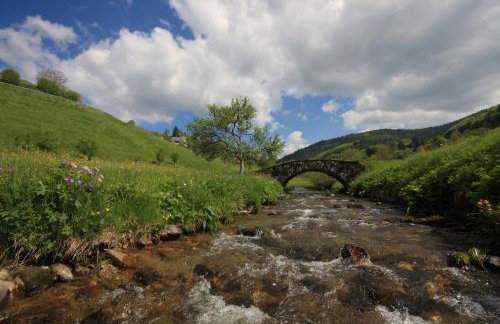 Ferienwohnung 'auf dem Burstel' - Photo 9