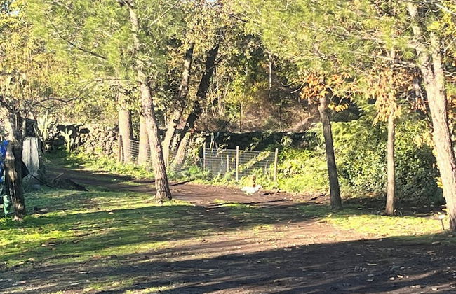 Poggio Roseto - Foto 48