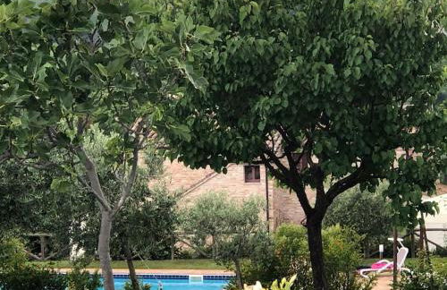 Casa San Pietro, restored farmhouse with pool - Foto 57