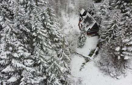 Wald-Chalet Vulkaneifel - Foto 7