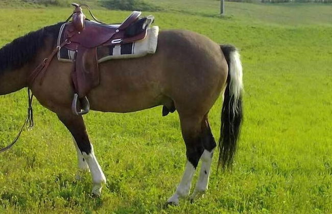 Ore Felici Park - Foto 7