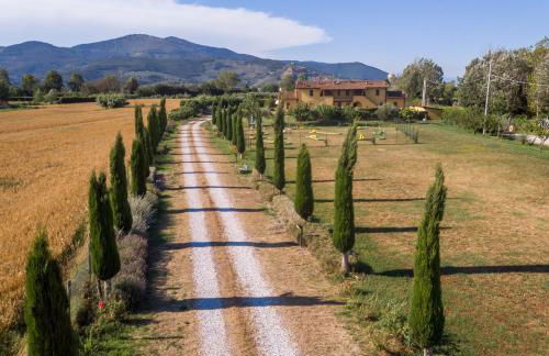 il Chiassetto Agriturismo No Kids - Foto 36