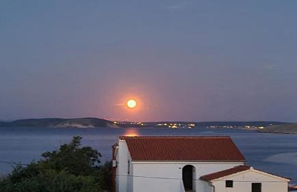 Apartments Simurina - Foto 19